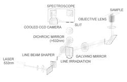 METHOD FOR NERVE DETECTION BY RAMAN SCATTERING SPECTROSCOPY