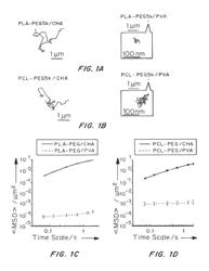 NANOPARTICLE FORMULATIONS WITH ENHANCED MUCOSAL PENETRATION