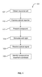 ANALYSIS OF COMPOUNDS FOR PAIN AND SENSORY DISORDERS