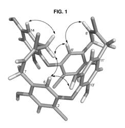 Chrysophaentin analogs that inhibit FtsZ protein