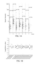 Cancer marker, method for evaluation of cancer by using the cancer marker, and evaluation reagent