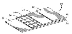 THERMOPLASTIC MEMBRANES CONTAINING EXPANDABLE GRAPHITE