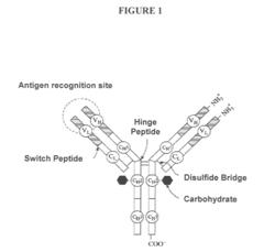 Antigen-binding polypeptides and their uses