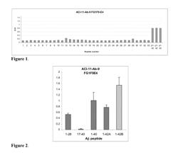 Monoclonal antibody