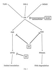 METHOD FOR CELLULAR RNA EXPRESSION