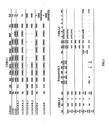 MULTISPECIFIC ANTIBODIES