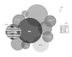 Graphically representing tags in a networked computing environment