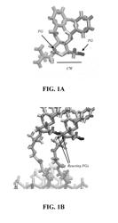 SURFACE MEDIATED SYNTHESIS OF POLYNUCLEOTIDES, POLYPEPTIDES AND POLYSACCHARIDES AND RELATED MATERIALS, METHODS AND SYSTEMS