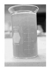 Biodiesel Glycerol Emulsion Fuel Mixtures