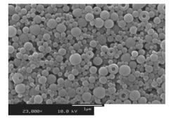 Ceramic encapsulation with controlled layering by use of functionalized silanes