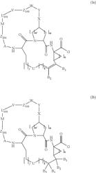 Bismacrocyclic compounds as hepatitis C virus inhibitors