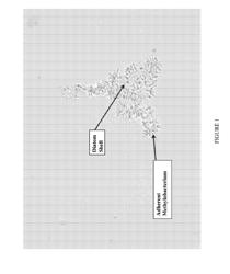 Microbial Fermentation Methods and Compositions