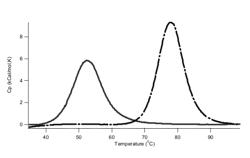 Fibronectin type III domain based scaffold compositions, methods and uses