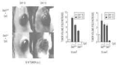 Methods and compositions for the treatment of cancer or other diseases