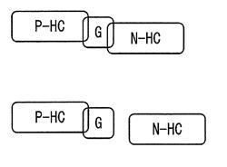 Light-emitting body, light-emitting layer, and light-emitting device