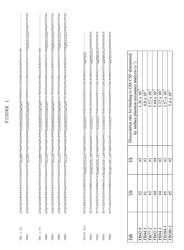 ANTIBODIES TO GRANULOCYTE-MACROPHAGE COLONY-STIMULATING FACTOR