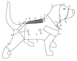 Post surgical treatment for quadrupeds