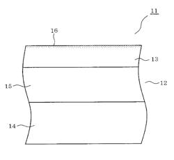 Slide member and method of manufacturing slide member