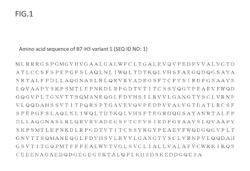 ANTIBODY-DRUG CONJUGATE PRODUCED BY BINDING THROUGH LINKER HAVING HYDROPHILIC STRUCTURE