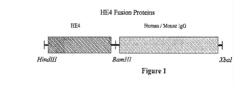 COMPOSITIONS AND METHODS OF USE FOR DETERMINATION OF HE4a