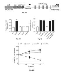 CAS9-NUCLEIC ACID COMPLEXES AND USES RELATED THERETO