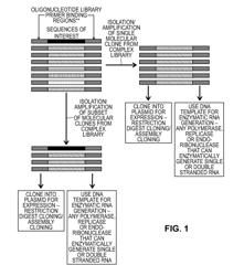 Templates, Libraries, Kits and Methods for Generating Molecules