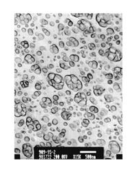 Method for making a high impact polystyrene with high gloss and high impact strength