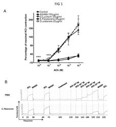 COMPOUNDS, EXTRACTS AND METHODS FROM CHINESE MEDICINAL HERB SOPHORA FLAVESCENS THAT INHIBIT AIRWAY CONTRACTION