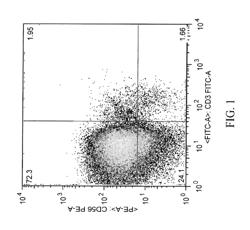 Tumor suppression using human placental perfusate and human placenta-derived intermediate natural killer cells