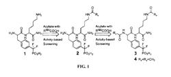 Inhibitors of protein tyrosine phosphatases