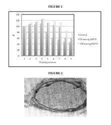 HSP70 fusion protein conjugates and uses thereof