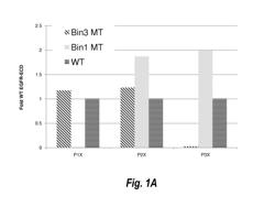 ANTIBODIES AGAINST EPIDERMAL GROWTH FACTOR RECEPTOR (EGFR) AND USES THEREOF