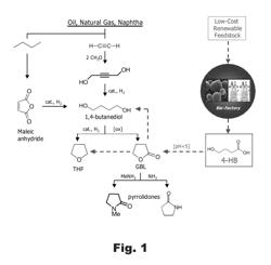 COMPOSITIONS AND METHODS FOR THE BIOSYNTHESIS OF 1,4-BUTANEDIOL AND ITS PRECURSORS