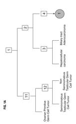 METHODS AND MATERIALS FOR CLASSIFICATION OF TISSUE OF ORIGIN OF TUMOR SAMPLES