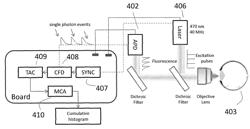 System and method for detecting amyloid proteins