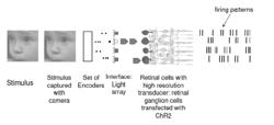 Retina prosthesis