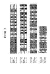 Supercharged proteins for cell penetration