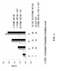 AUTOLOGOUS AND ALLOGENIC ADIPOSE-DERIVED STROMAL STEM CELL COMPOSITION FOR TREATING FISTULAS