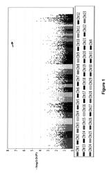 METHOD TO PREDICT THE PATTERN OF LOCOMOTION IN HORSES