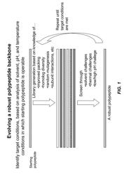 Structure-activity relationships