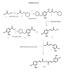 SYNTHESIS OF CALEBIN-A AND ITS BIOLOGICALLY ACTIVE ANALOGS