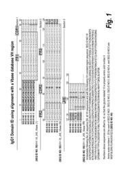 ANTIBODIES AGAINST EPIDERMAL GROWTH FACTOR RECEPTOR (EGFR) AND USES THEREOF