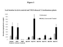 NUCLEIC ACID SEQUENCES ENCODING TRANSCRIPTION FACTORS REGULATING ALKALOID BIOSYNTHESIS AND THEIR USE IN MODIFYING PLANT METABOLISM