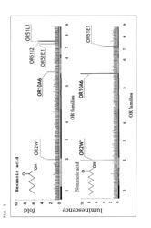 Method for searching for malodor control agent, malodor control agent, and malodor control method