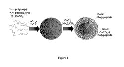 Calcium carbonate microstructures useful in encapsulation applications and a process for the preparation thereof