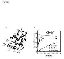 Pharmaceutical compositions which inhibit FKBP52-mediated regulation of androgen receptor function and methods of using same