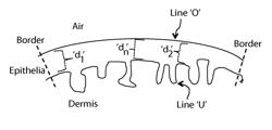 METHODS FOR ASSESSING VAGINAL ATROPHY