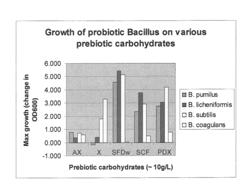 Synbiotic product