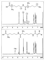 Polymerizable composition for ophthalmic and medical use and antimicrobial composition obtained by polymerizing the polymerizable composition