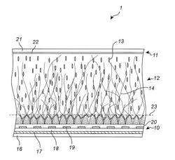 Polymer network stabilized flexoelectric polarization